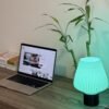Aurora shade lamp desk lamp