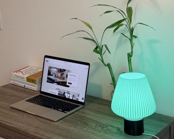 Aurora shade lamp desk lamp